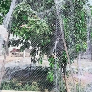 100% сетка для сельскохозяйственных птиц из полиэтилена высокой четкости для птиц сетка для защиты виноградников - Product Image 3