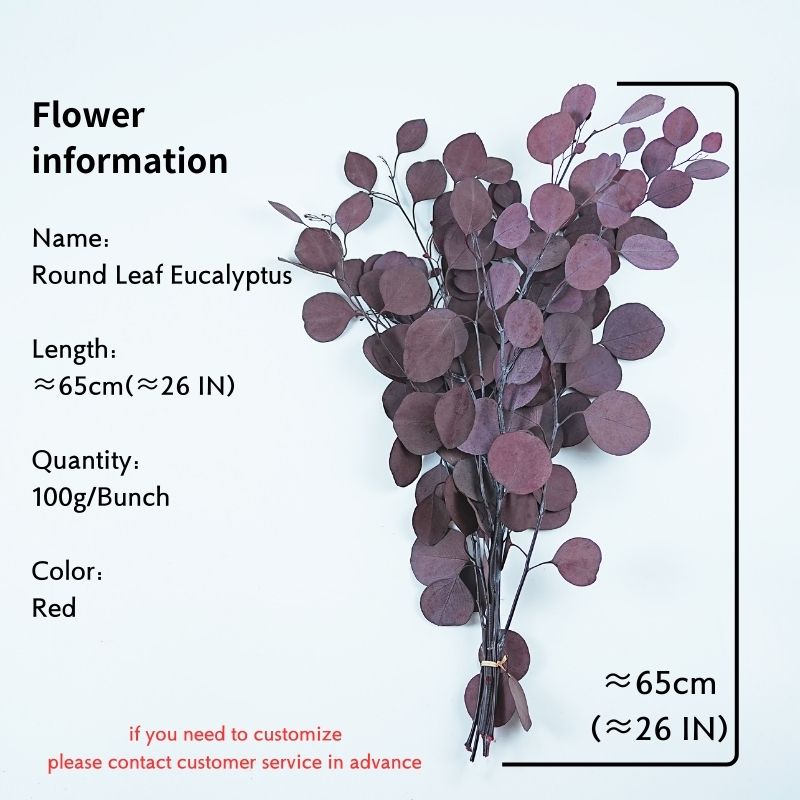 Rouge (Quantité: 100g/Bunch) est de 26 pouces de long