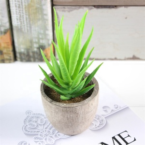 V-3025 Giá Rẻ Mini Nhân Tạo Cây Mọng Nước Để Trang Trí Bàn - Product Image 1