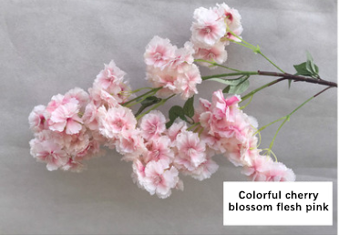 Fleurs de cerisier colorées (rose viande)