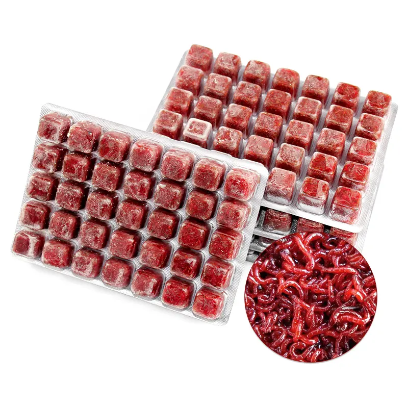 2020 high quality frozen bloodworm Frozen red worm red nematode worm for sale frozen fish food