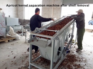 Separador de cáscara y almendra automático industrial/máquina separadora de nueces/equipo de separación de almendras - Product Image 2