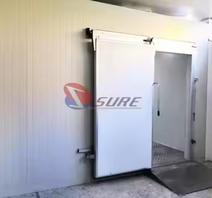 Cold Storage Cold Room Panel Cold Chamber for Vegetable Fruit