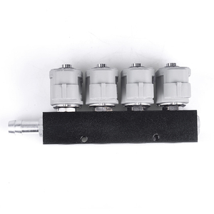 LPG/CNG/NGV Gas-Einspritz schiene LPG-sequentielles Kraftstoffs ystem für Sequential Injection Kit 2 oder 3 Ohm Auto injektor