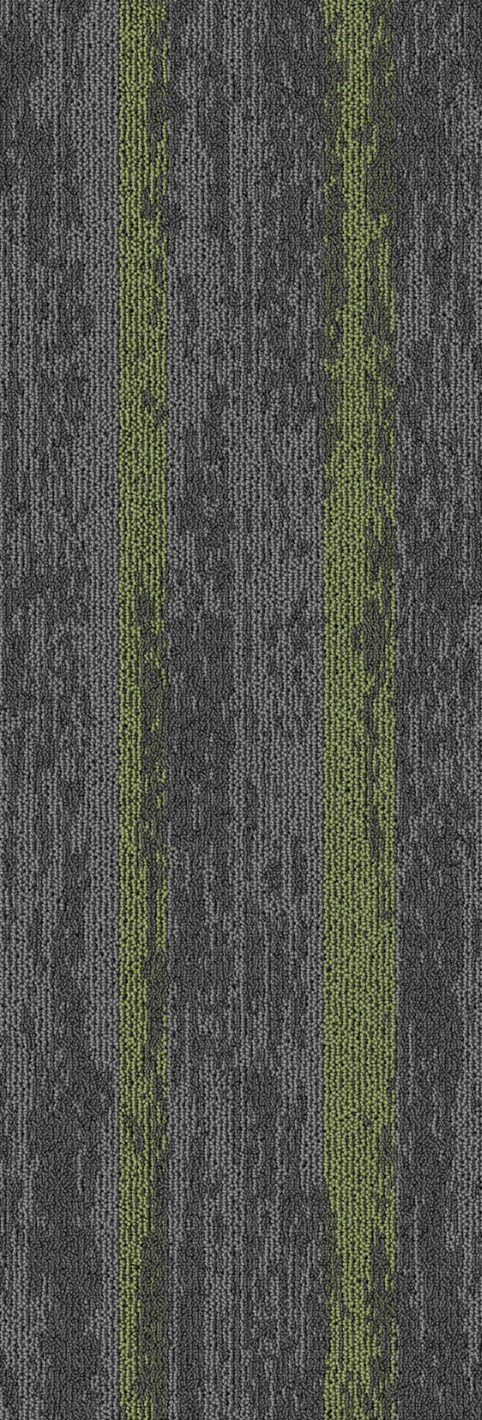 Grey11