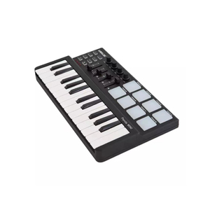 Venta al por mayor Worlde Panda Mini 25-Key Midi Keyboard Controller 25 Key Usb Digital Music Studio Piano 25 teclas para instrumentos musicales - Product Image 4