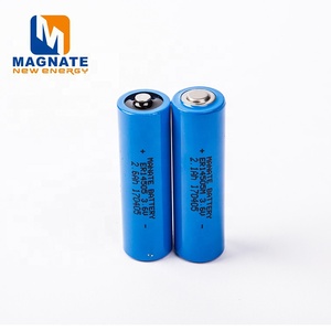ER14505M 3.6V 2200mah birincil lityum AA pil uzaktan kumanda ve tüketici elektroniği için teller ve konektör ile - Product Image 2
