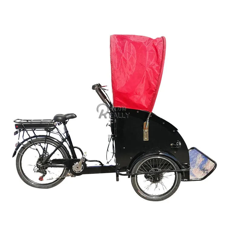 OEM özelleştirilmiş elektrikli kargo bisikleti çekçek yetişkin üç tekerlekli bisikletler yolcular