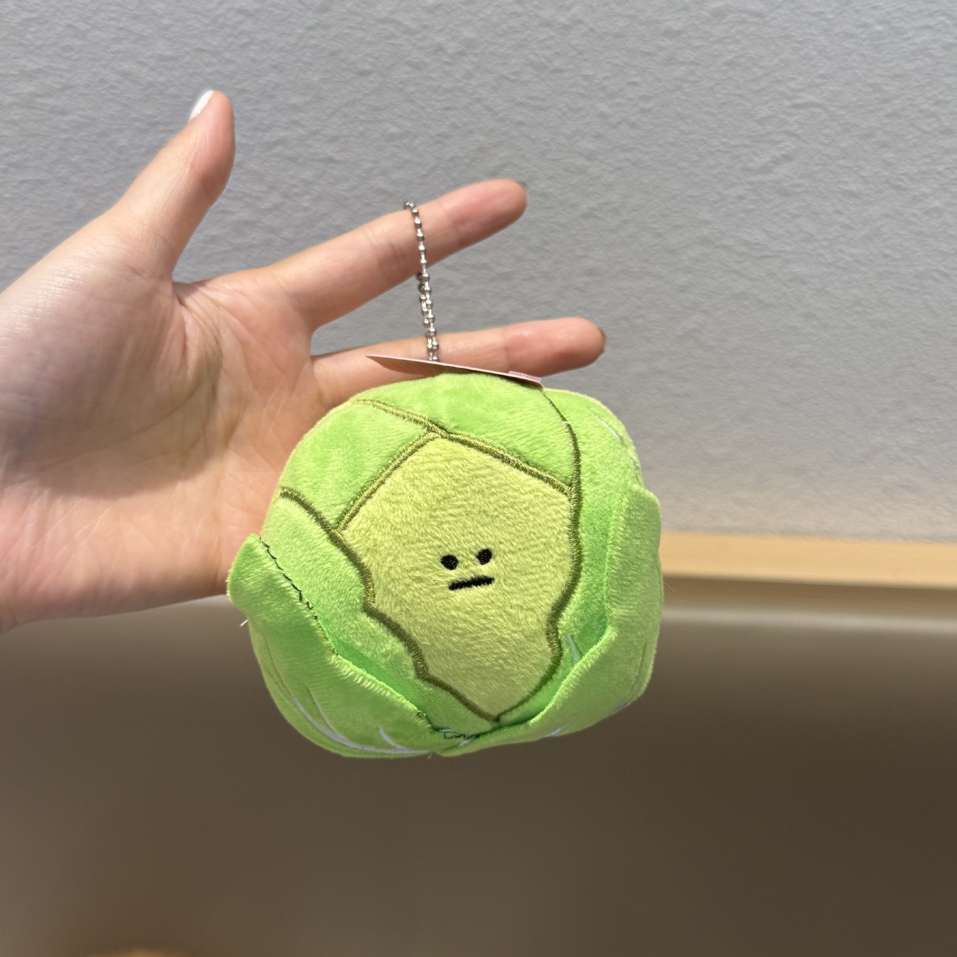 Cabbage 10cm