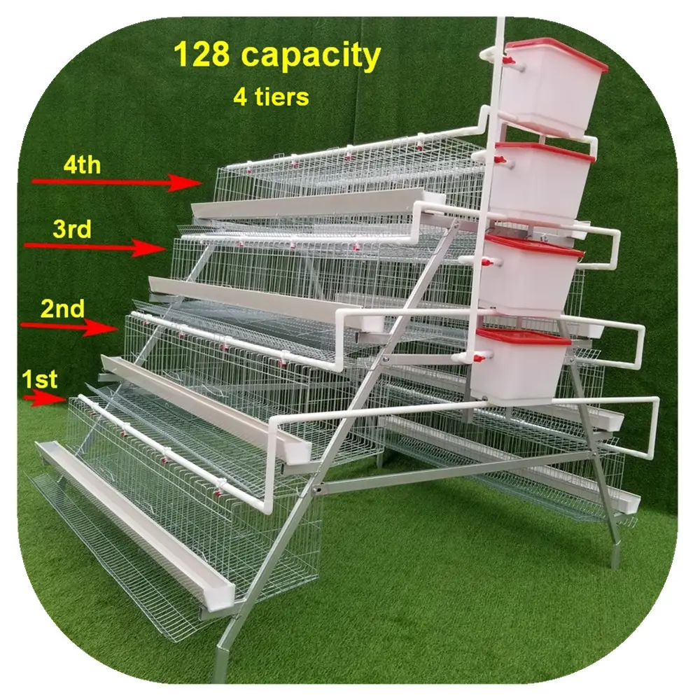 4 niveaux 128 capacité conception couche poulet volaille batterie cages prix