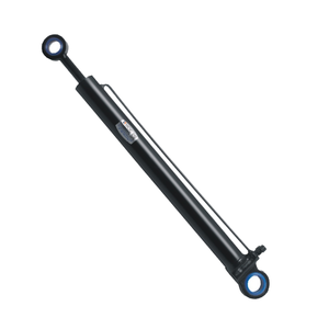 Cilindro idraulico personalizzato a doppio effetto per camion dei rifiuti 3000 PSI 10 Ton di capacità con compatibilità telecomando - Product Image 2