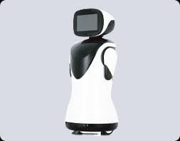Robot umanoide robot di benvenuto robot intelligente per la programmazione di scienze - Product Image 4