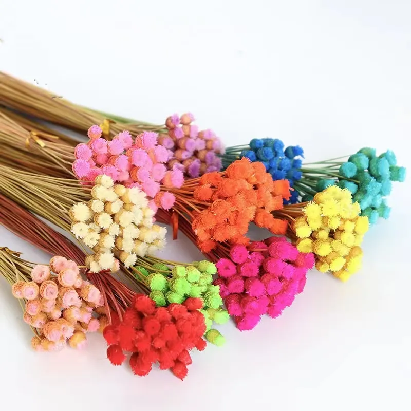 Top vendeurs ghc herbe de pampa naturelle artificielle préservée fleurs décoratives bouquet de mariée fleurs séchées mariage