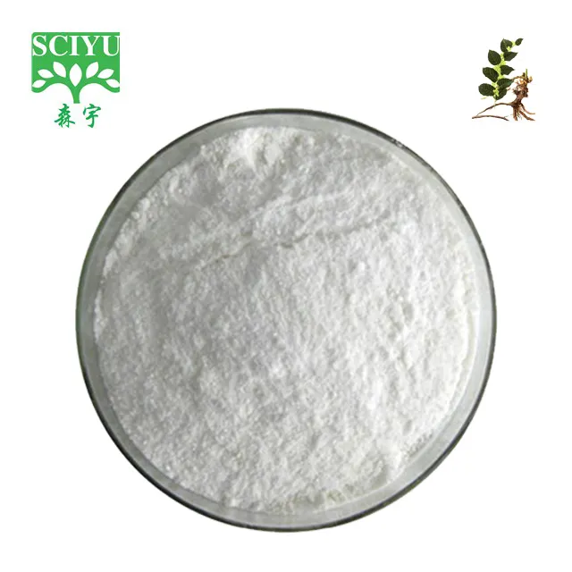 Suministro de Sciyu Polygonum cuspidatum extracto Resveratrol 98%