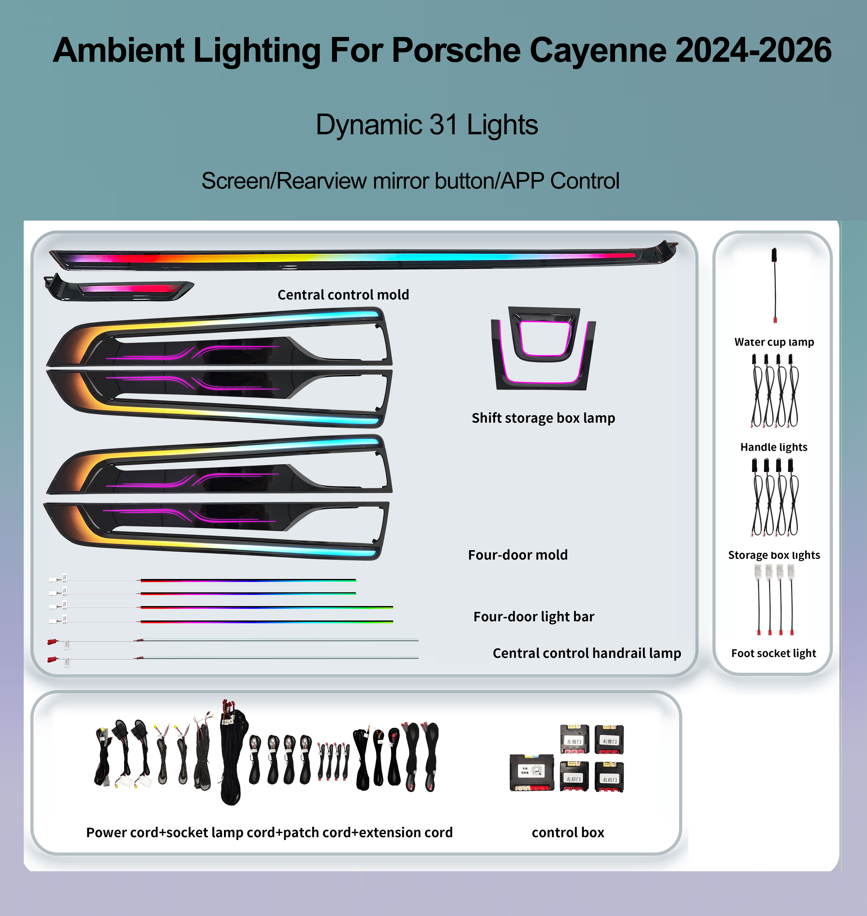 Dynamic 31 Lights