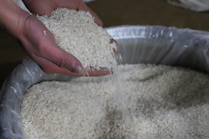 Home Use 4 In1 <strong>Paddy</strong> Straw Cleaner Vibratory Screen Combine Rice Mill Machine <strong>Sri</strong> Lanka Rice Miller - Product Image 3