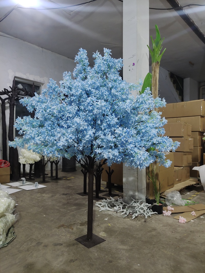 cerisier en fleurs 16