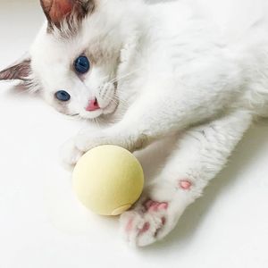 Pelota Interactiva para Gatos, Juguete Inteligente para Masticar con Sonido de Rana y Pájaro, Suministros de Entrenamiento para Gatos - Product Image 2