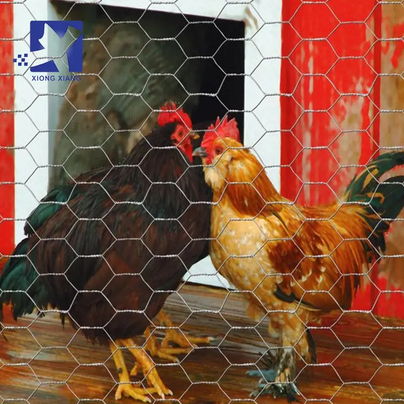 Rete metallica esagonale di pollo ecologica facilmente assemblata