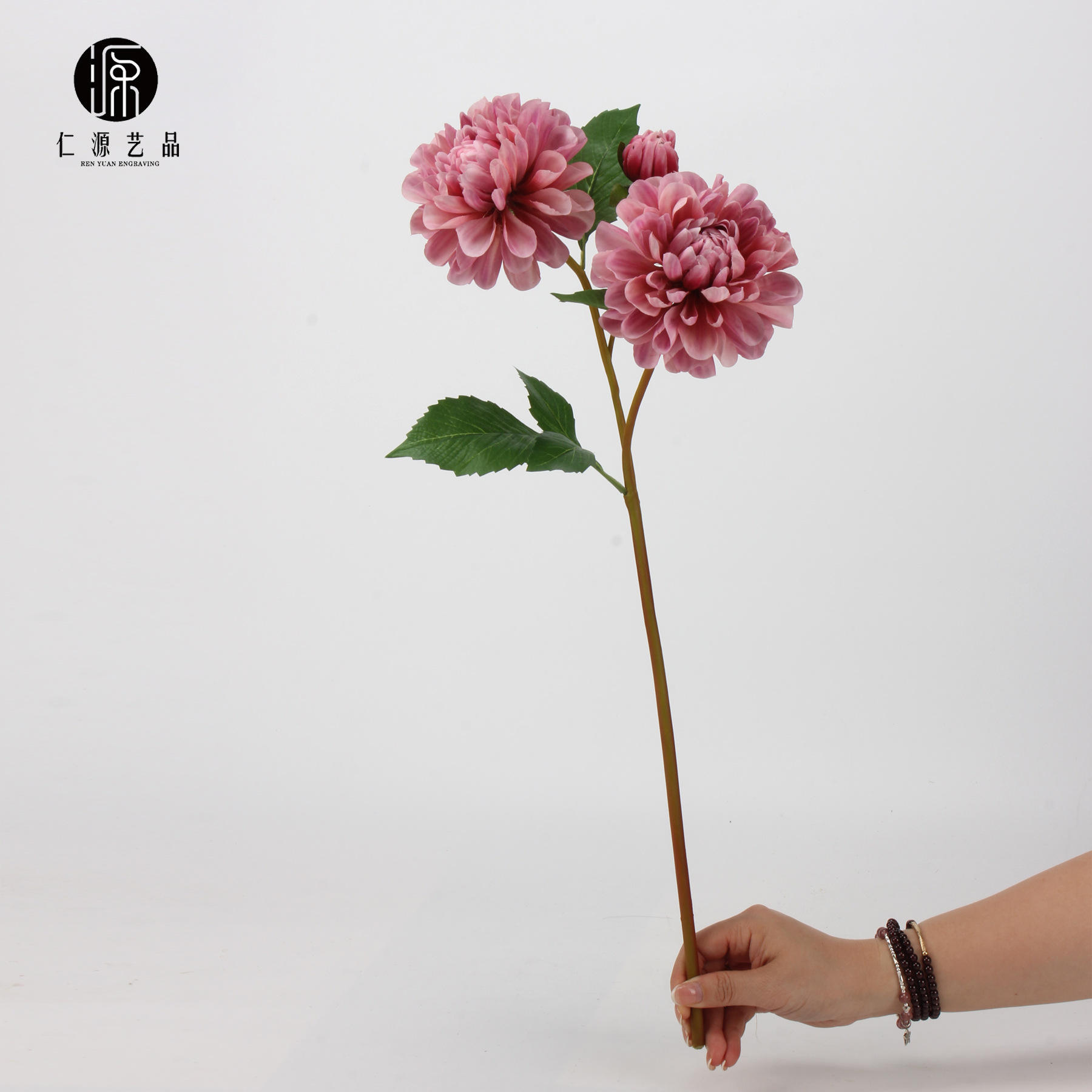 Violet-rouge-nécessite une réservation