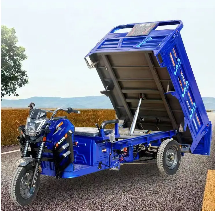 China Farm Use Load King Three-wheeled Passenger Freight Transport Electric Tricycle