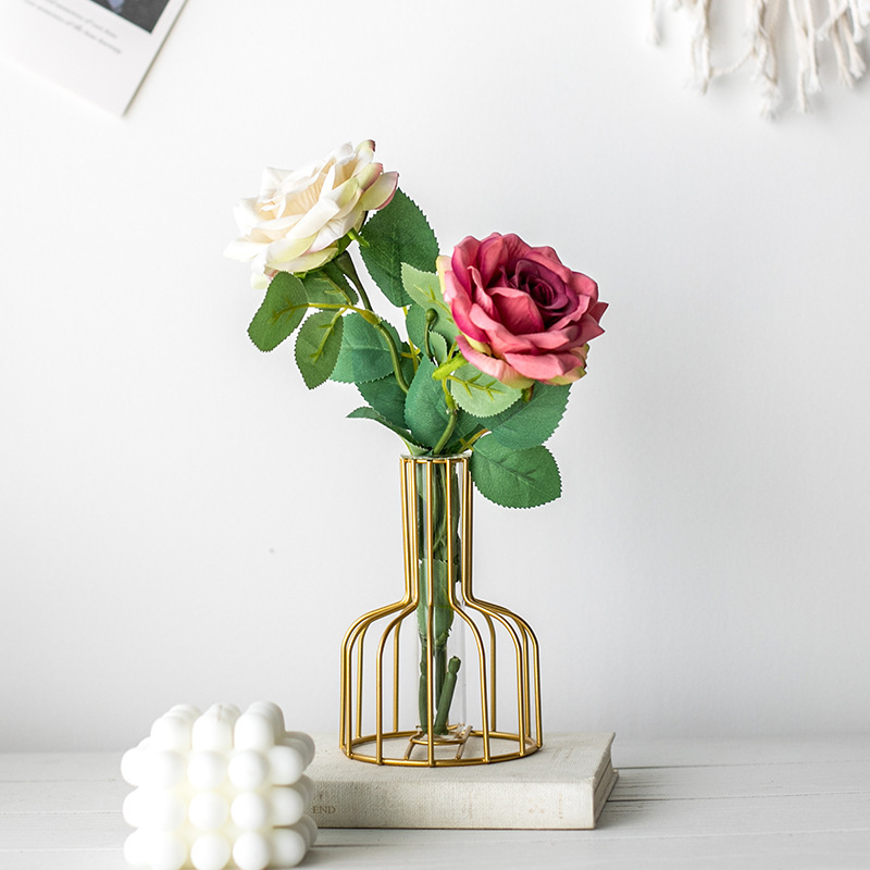 Test tube flower vase: 1 rose in rose red and 1 in white