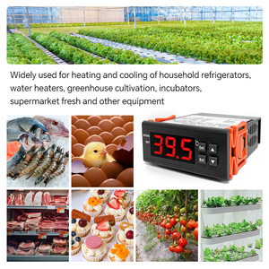 Controlador de sensor de temperatura de invernadero con interruptor de termostato digital de salida única para incubadora 110-220V/10A - Product Image 2