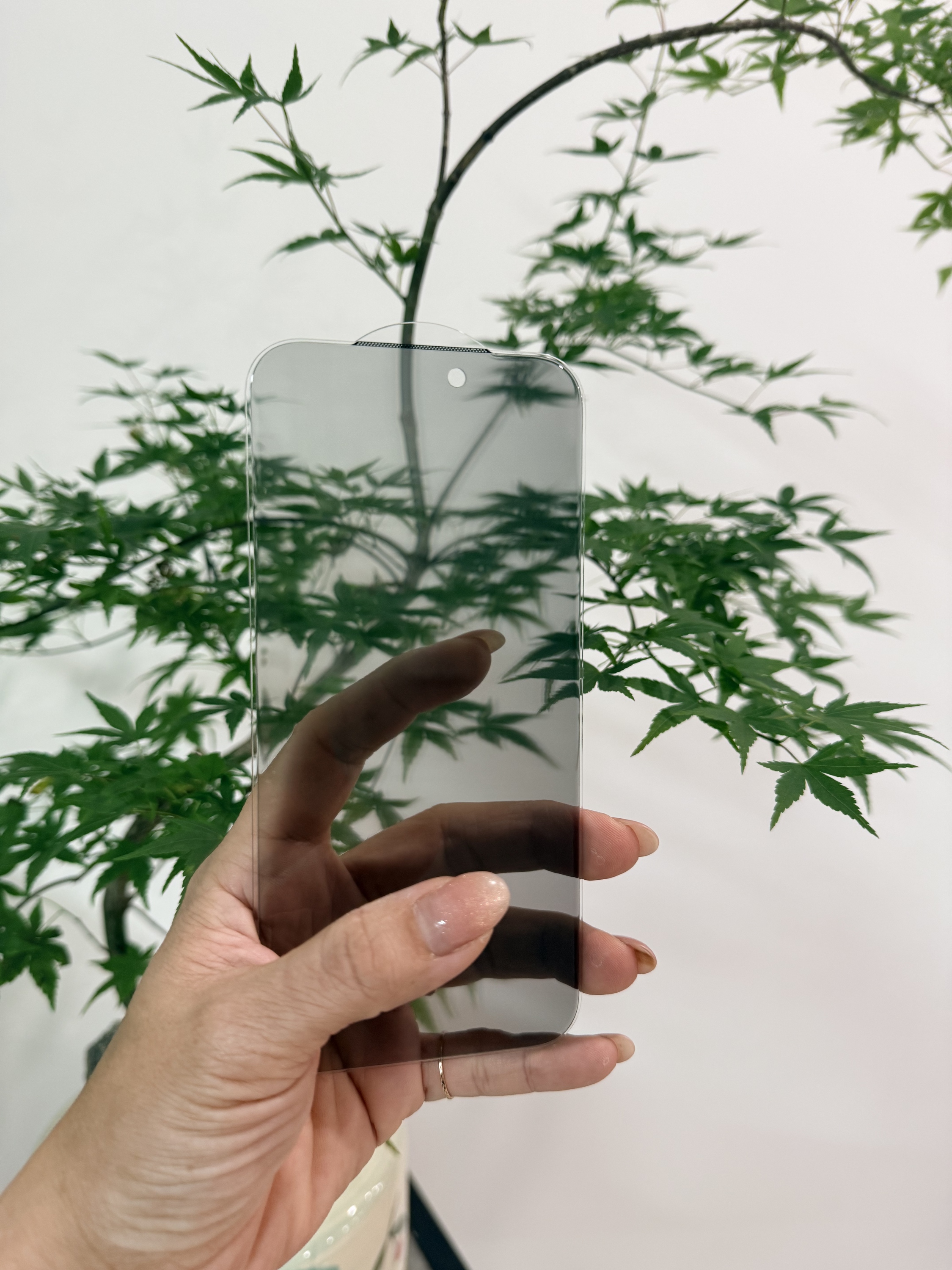 360 Degree Tempered Glass