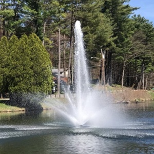Schwimmender musikalischer Tanz programm brunnen des großen Entwurfs im Freien mit Pumpe und Düse - Product Image 3