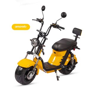 האלי החשמלי שני גלגל citycoco 250w250w את הכביש עבור קטנועים חשמליים מבוגרים