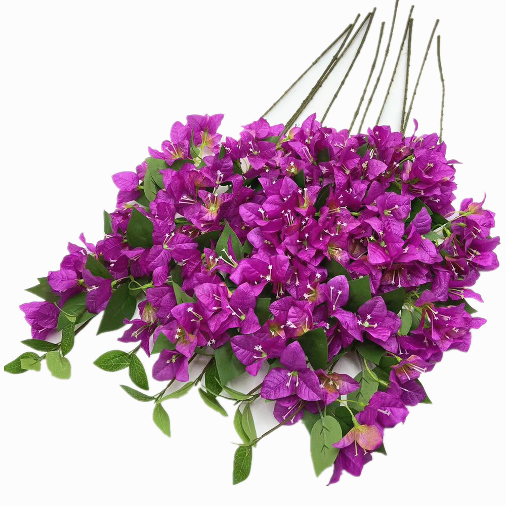 Pourpre