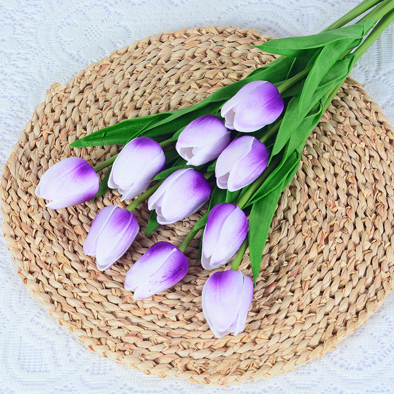 White background purple