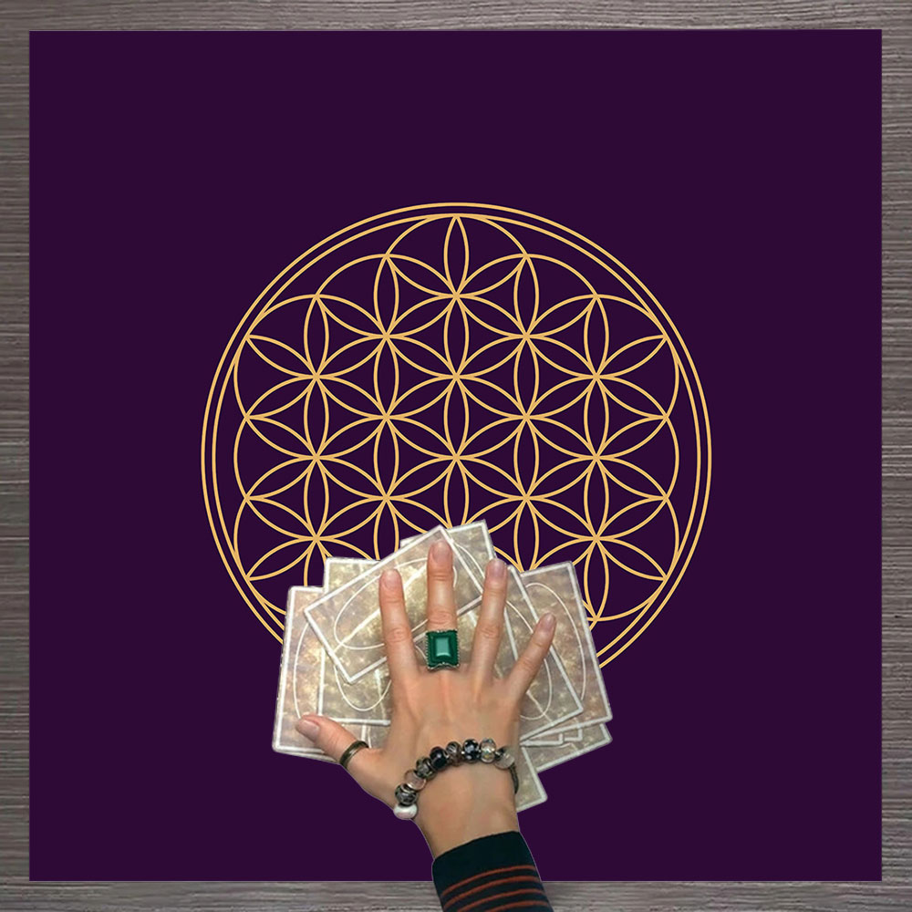 White12