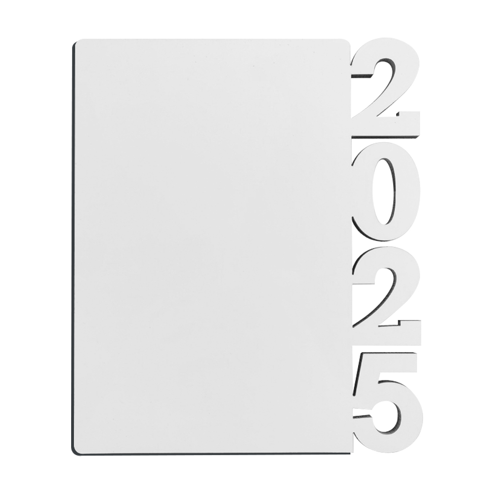 NSP5-2025#1