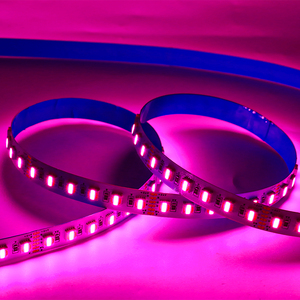 High Quality Multicolor RGBW WW Dimmable <strong>LED</strong> Tape Light 60leds <strong>96leds</strong>/m <strong>Led</strong> 5 in 1 Strip Addressable RGBWC <strong>LED</strong> Strip DC24V - Product Image 3