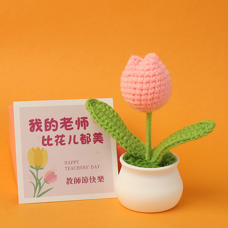Pink tulip potted plant