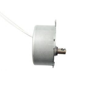 Ac Synchronous <strong>Motor</strong> 49tyj 220v 0.8rpm <strong>Small</strong> Hobby Electric Mini <strong>Motors</strong> - Product Image 5
