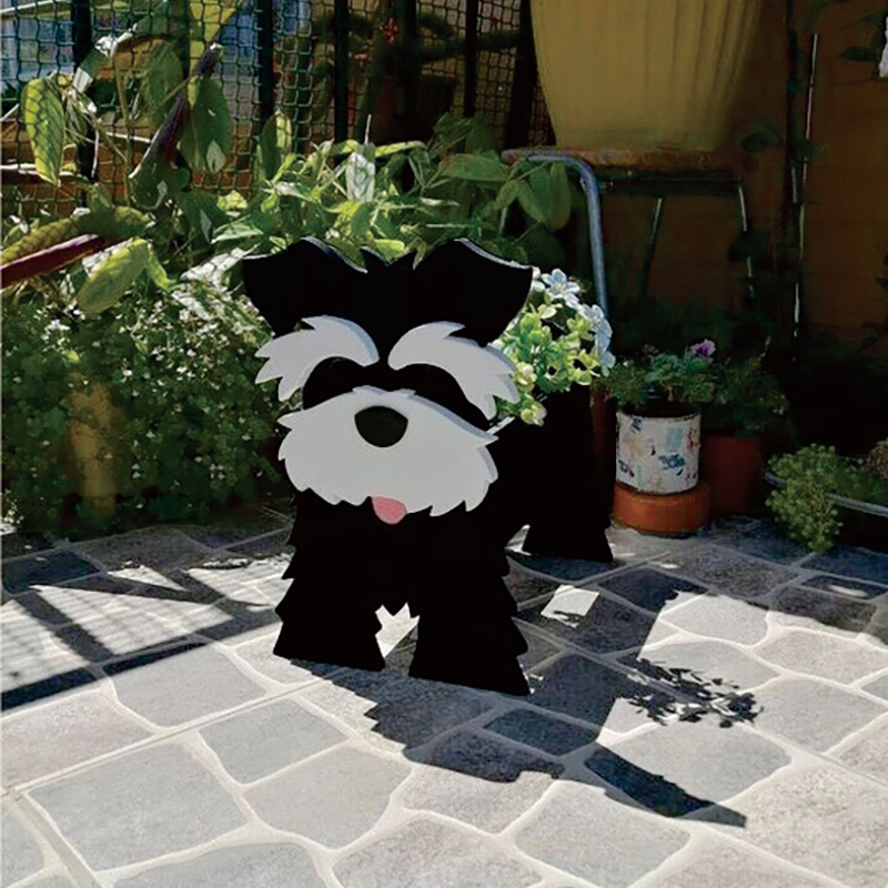 Schnauzer