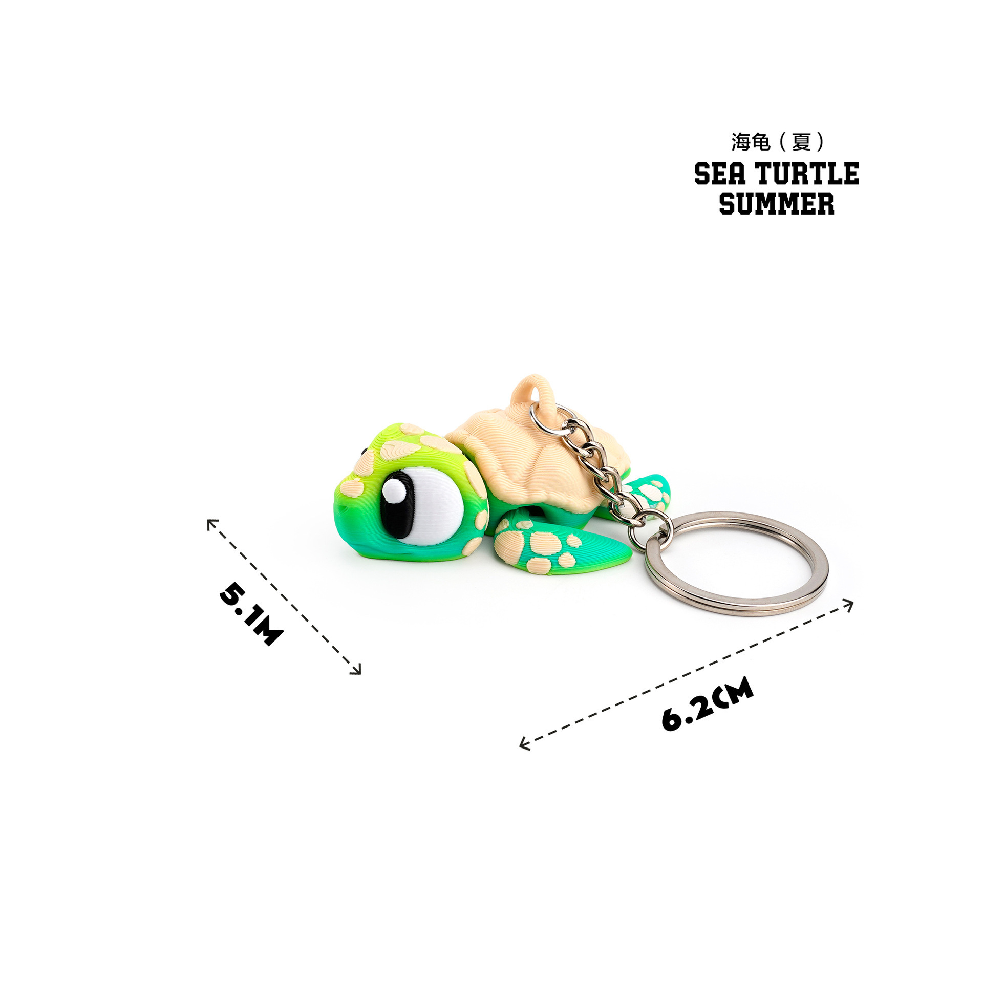 Été des tortues marines