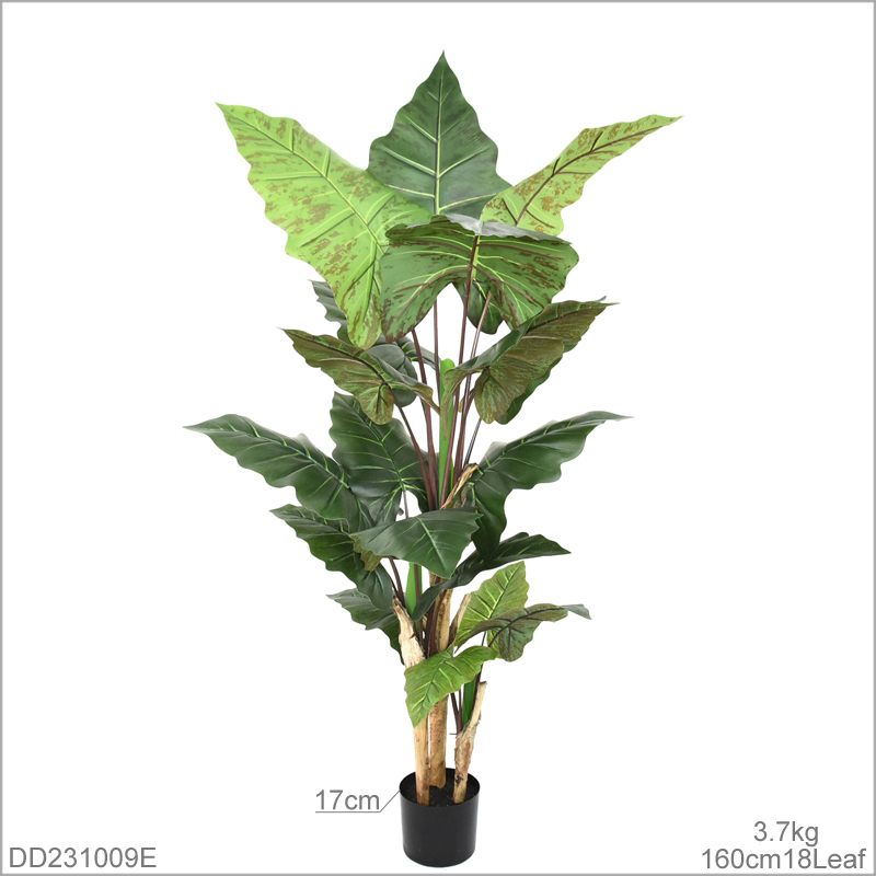 160 cm(62.99in)