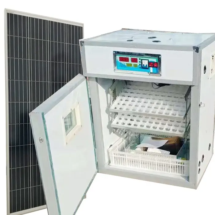 Incubateurs entièrement automatiques à double énergie Couveuse à énergie solaire pour œufs à couver en Afrique