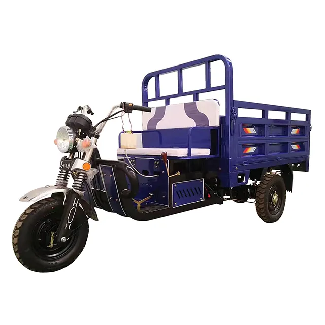 Prezzo ragionevole corpo aperto benzina Moto Moto Cargo triciclo 3 ruote Dump veicolo per adulti uso di trasporto