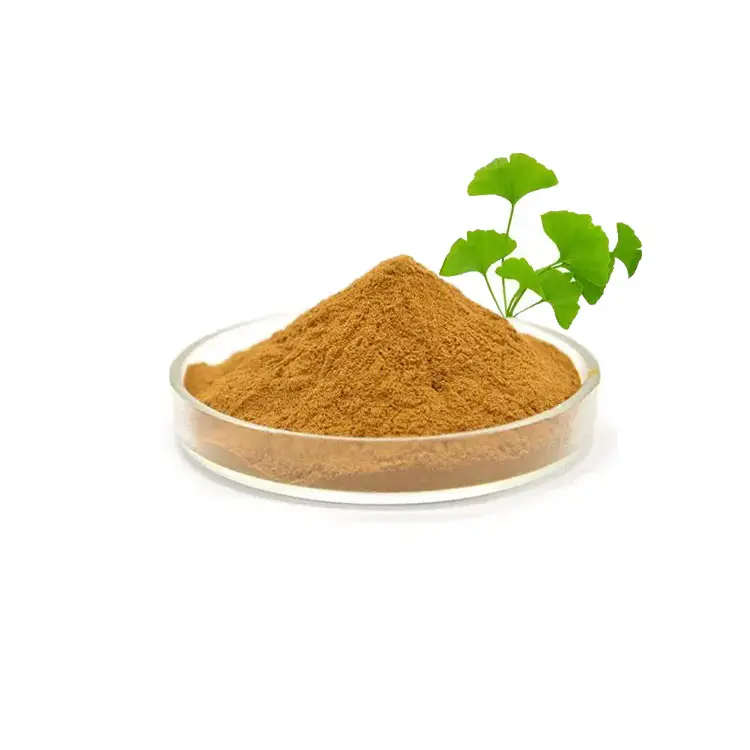 Extrato de folhas de ginkgo Biloba em pó, flavonóides ginkgolide, ginkgo Biloba 10:1 20:1