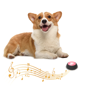 Botón de sonido programable grabable Artesanía Novedad Mascota Voz Música Botón de sonido parlante - Product Image 1