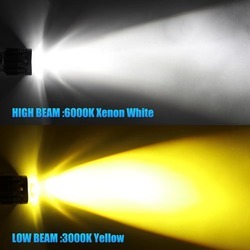 white+yellow