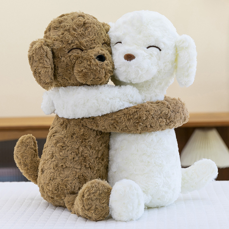 Hug puppy pair
