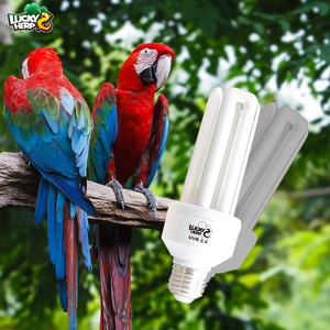 Şanslı HERP UVA UVB ampul düşük fiyat E26 E27 baz kuş lamba 20W 2.4 UVB kuş kuşlar için kompakt floresan lamba ışığı - Product Image 2