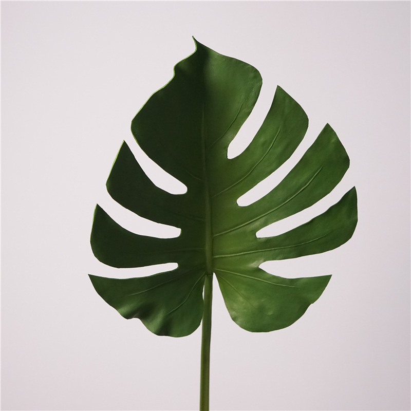 Verde militare 79 cm
