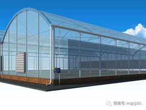 マルチスパンアーチプラスチックフィルム温室トマトとイチゴ温室ターンキープロジェクト