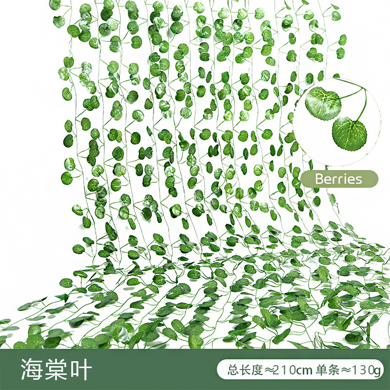 Feuilles de pommetier (12 feuilles par paquet)